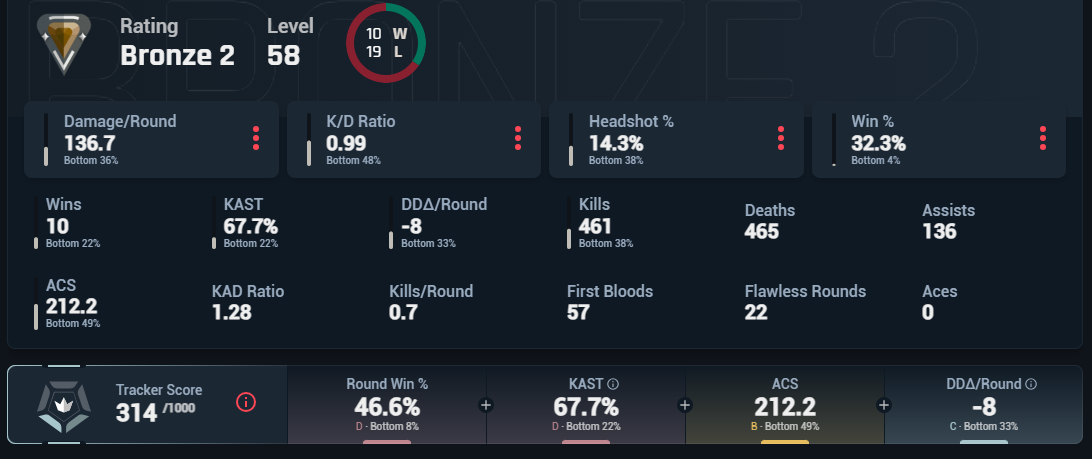 Bronze Level